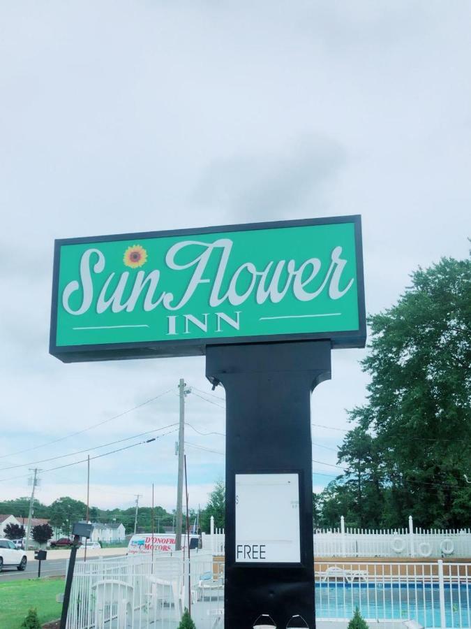 Sunflower Inn Галлоуэй Экстерьер фото