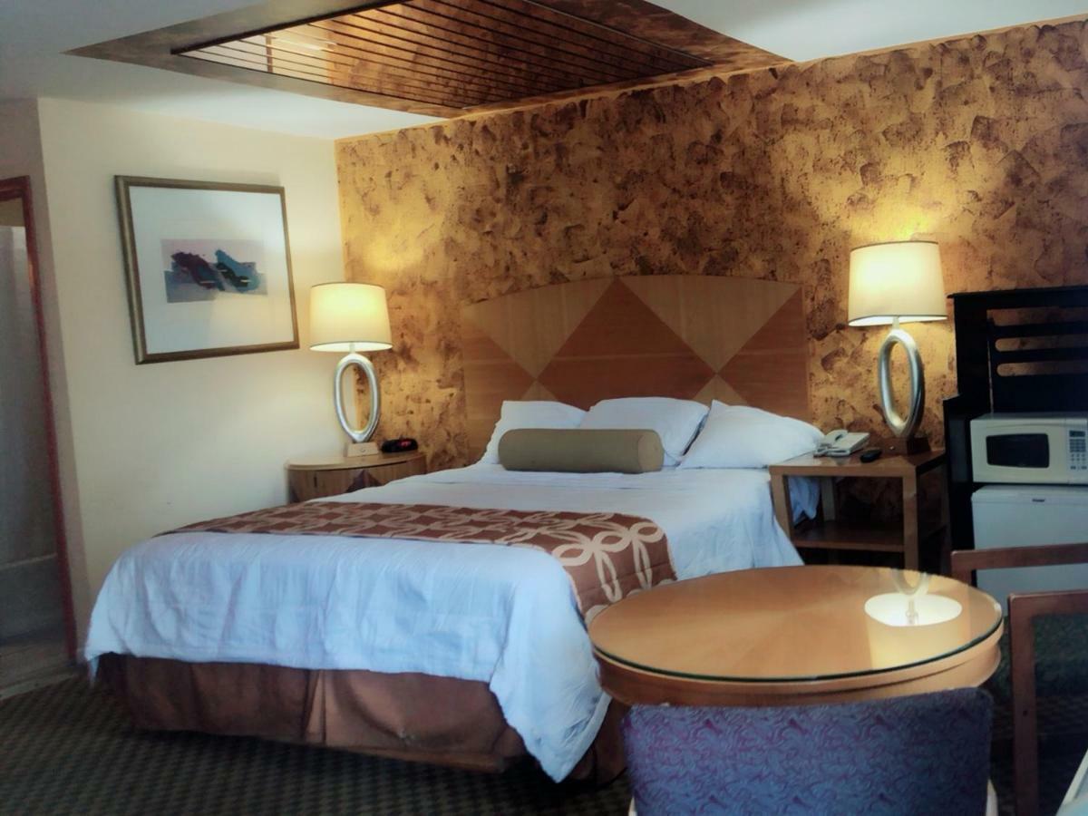 Sunflower Inn Галлоуэй Экстерьер фото